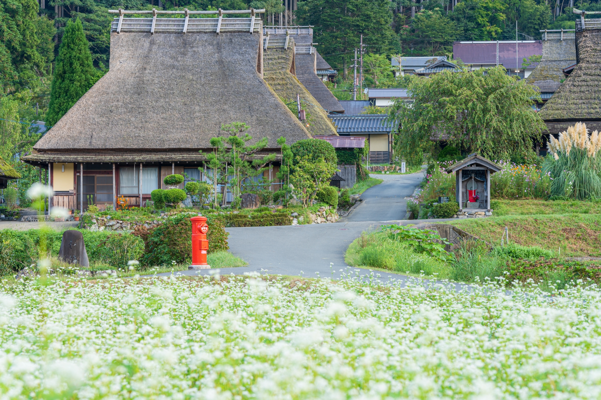 田舎暮らしを始めるには